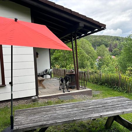 Harzhuisje - Sankt Andreasberg Esterno foto