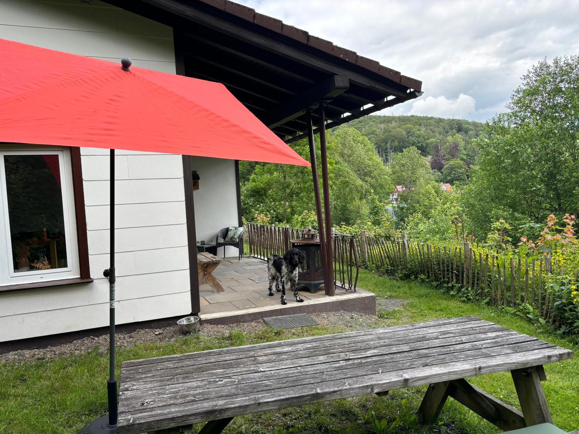 Harzhuisje - Sankt Andreasberg Esterno foto