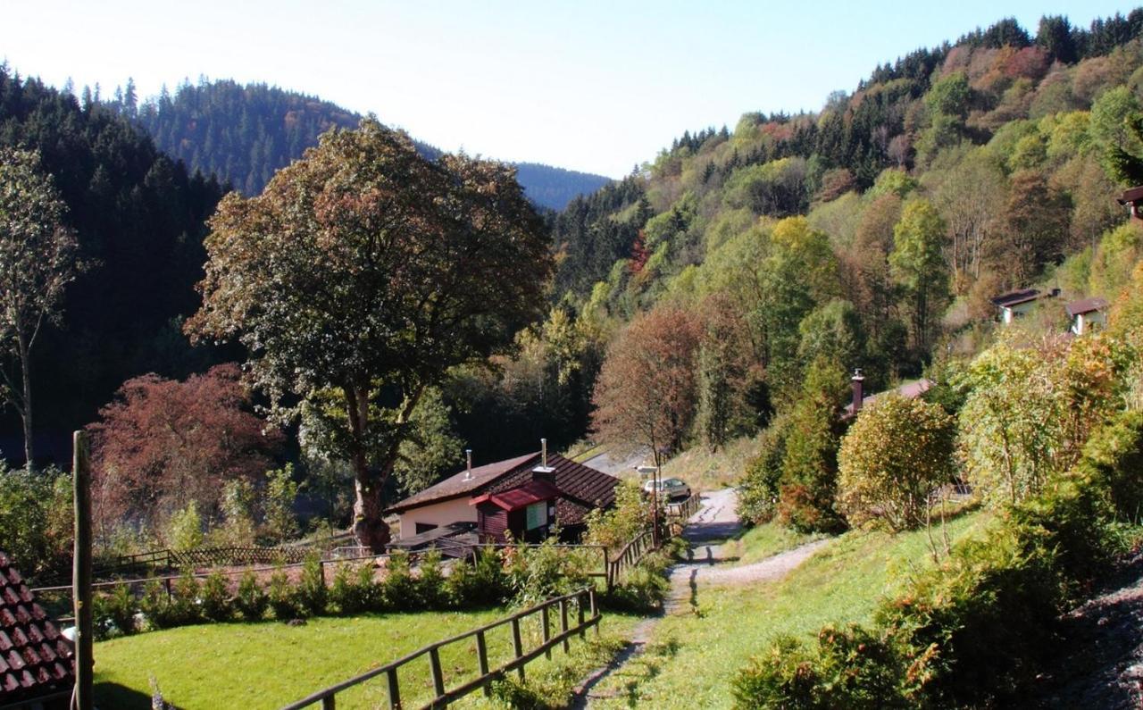 Harzhuisje - Sankt Andreasberg Esterno foto
