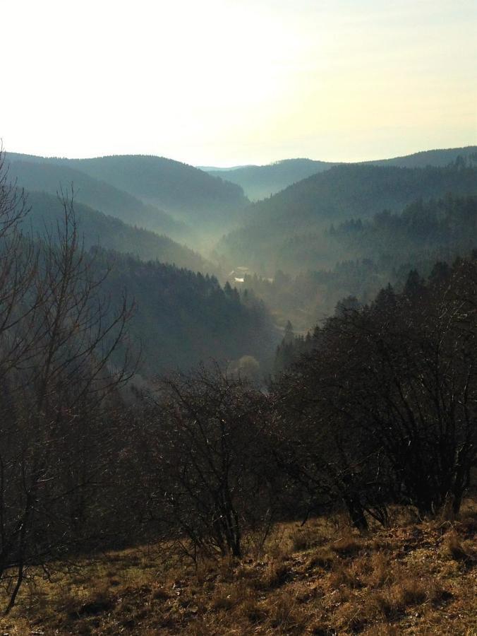 Harzhuisje - Sankt Andreasberg Esterno foto