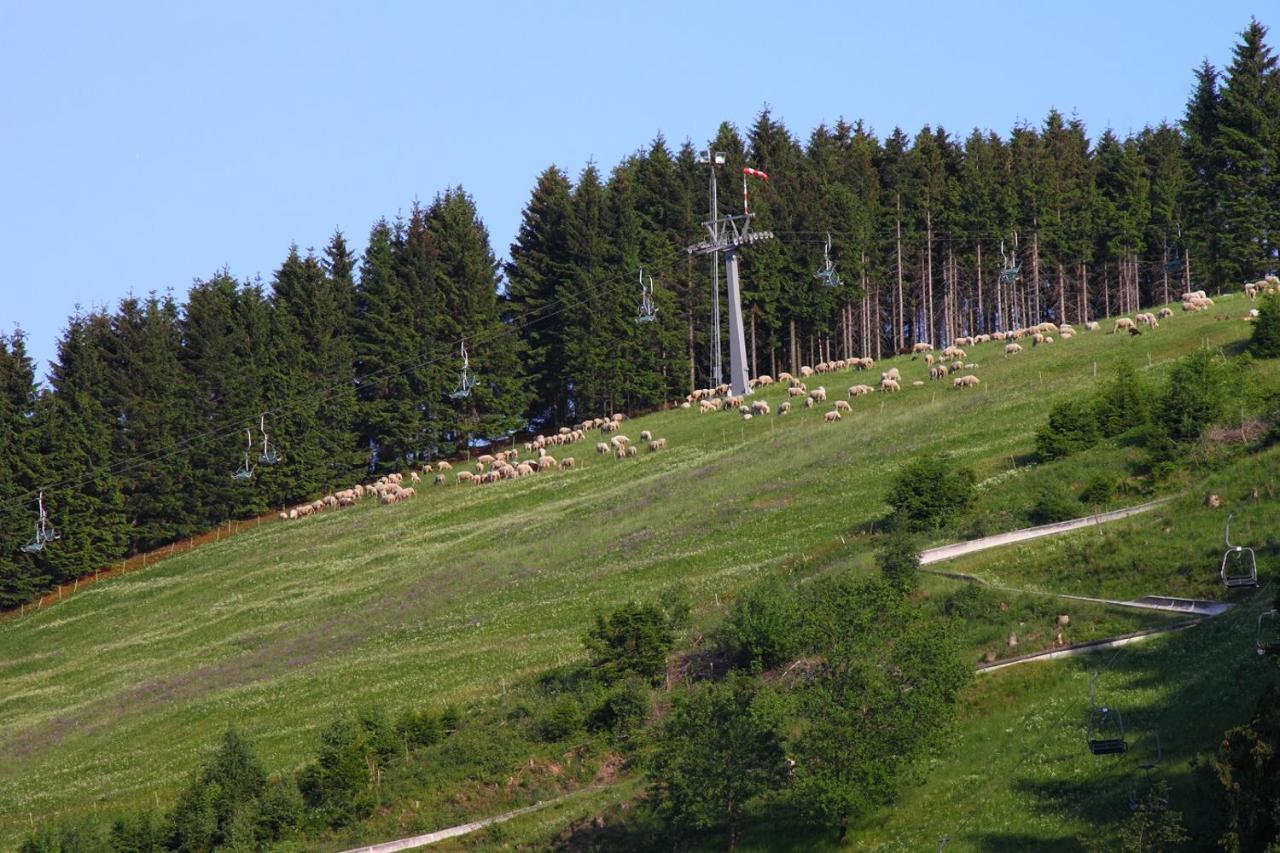 Harzhuisje - Sankt Andreasberg Esterno foto